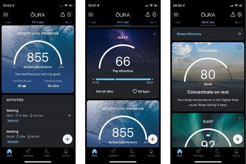 Временную шкалу можно посмотреть в приложении Oura Арр.